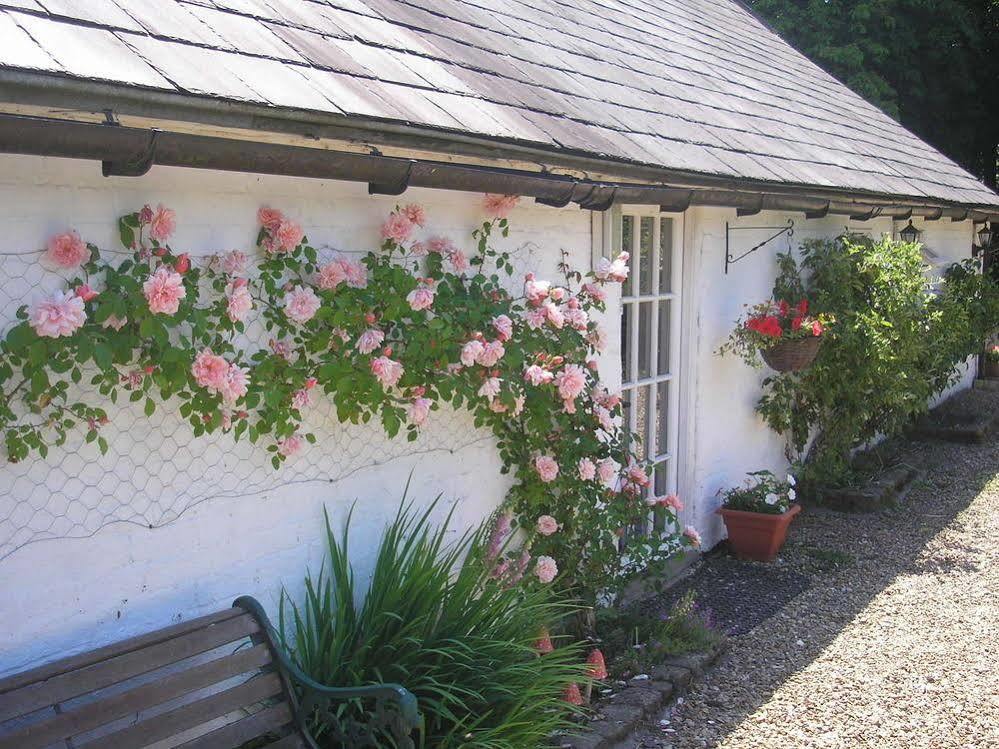 Detling Coachhouse Bed and Breakfast Maidstone Exteriör bild